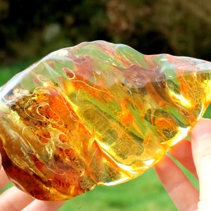 Breathtaking Collector's Gem With 2 X 40 Million Year Old Insects Inclusion and Air Bubbles / Baltic Amber Collectors Geology Gem gift image 5