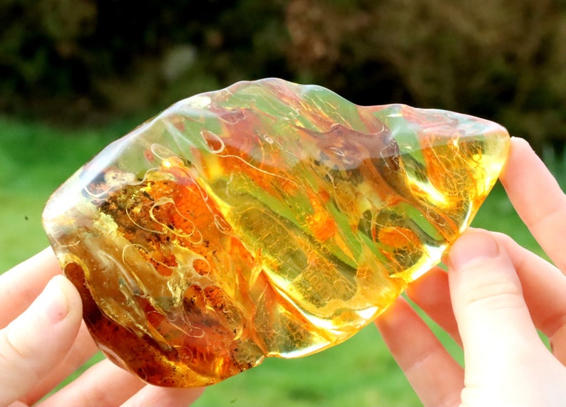 Breathtaking Collector's Gem With 2 X 40 Million Year Old Insects Inclusion and Air Bubbles / Baltic Amber Collectors Geology Gem gift image 5