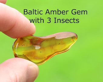 May include: A translucent, golden-yellow Baltic amber gem featuring three small, dark insect inclusions trapped within the resin. The text "Baltic Amber Gem with 3 Insects" is printed above the smooth, irregularly shaped, polished stone.