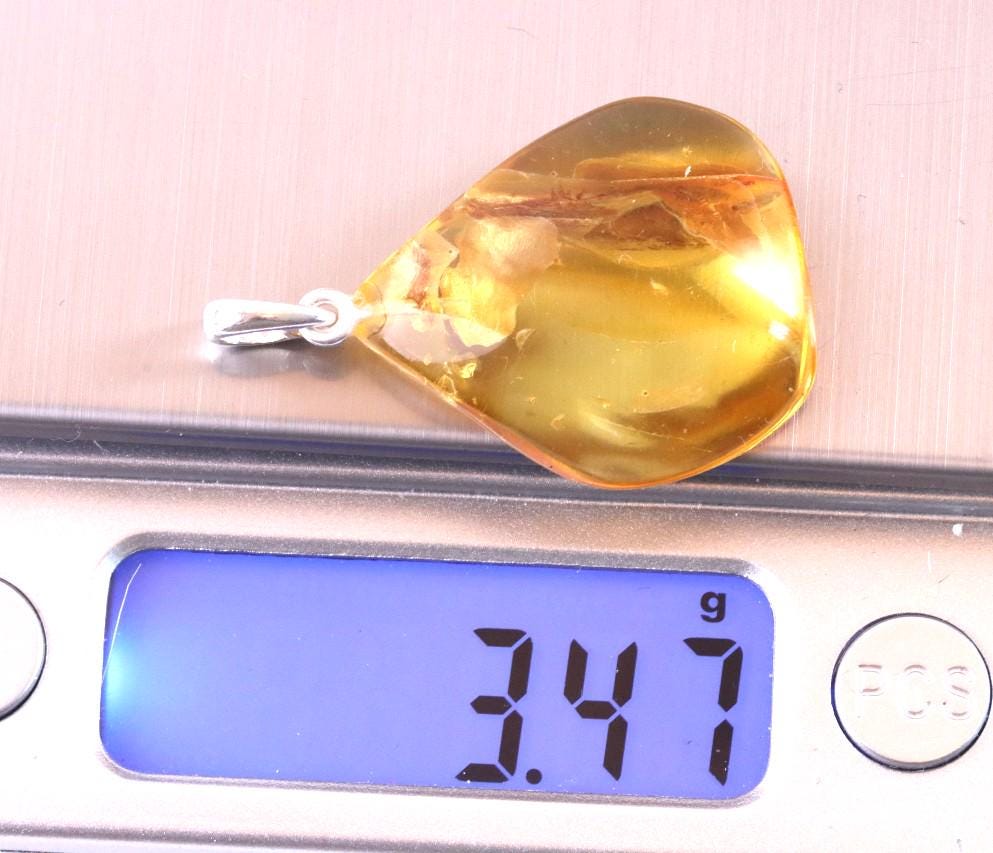 Pendentif Ambre Beignet Avec Insecte - Pierre Naturelle De La Baltique - Neuf