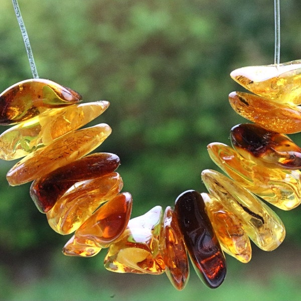 Offre spéciale 15 pièces pour le prix de 10 / Perles percées d'ambre de la Baltique en vrac / Perles percées de forme irrégulière (22 mm-14 mm environ)