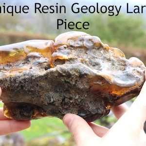 Increíble joya de colección de ámbar báltico de 322 g: resina fósil natural de calidad museística. Un regalo único para geología y ciencia.
