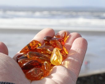 Tumbled Stone of Genuine Baltic Amber / 1 Piece Average Weight 2g to 3g / Collectors gemstone / Natural Baltic amber stone, quirky shapes