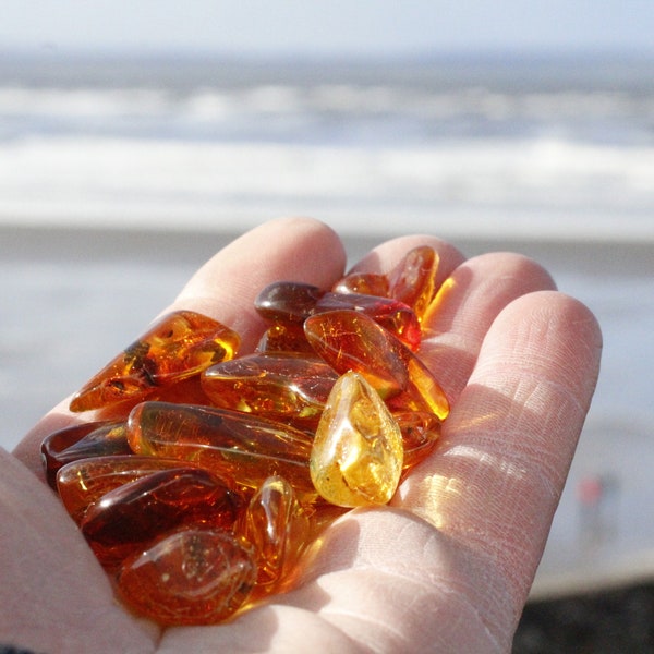 Tumbled Stone of Genuine Baltic Amber / 1 Piece Average Weight 2g to 3g / Collectors gemstone / Natural Baltic amber stone, quirky shapes