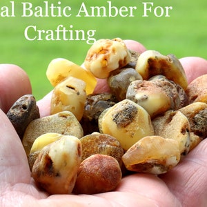 Perline naturali grosse di ambra grezza con fori / 24 pezzi da 48,6 grammi / Pezzi di ambra ecologica naturale per artigianato / Ambra baltica autentica con certificato