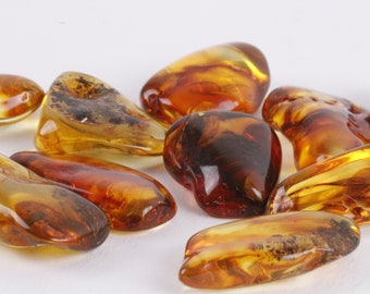 Polished Baltic Amber Tumbled Stone – 3g–4g | Genuine Free-Form Gem for Crafting, Healing, or Collecting