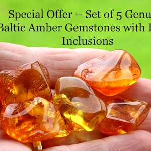 Special Offer – Set of 5 Genuine Baltic Amber Gemstones with Insect Inclusions / 40-Million-Year-Old Fossilized Bugs in Geological Treasures