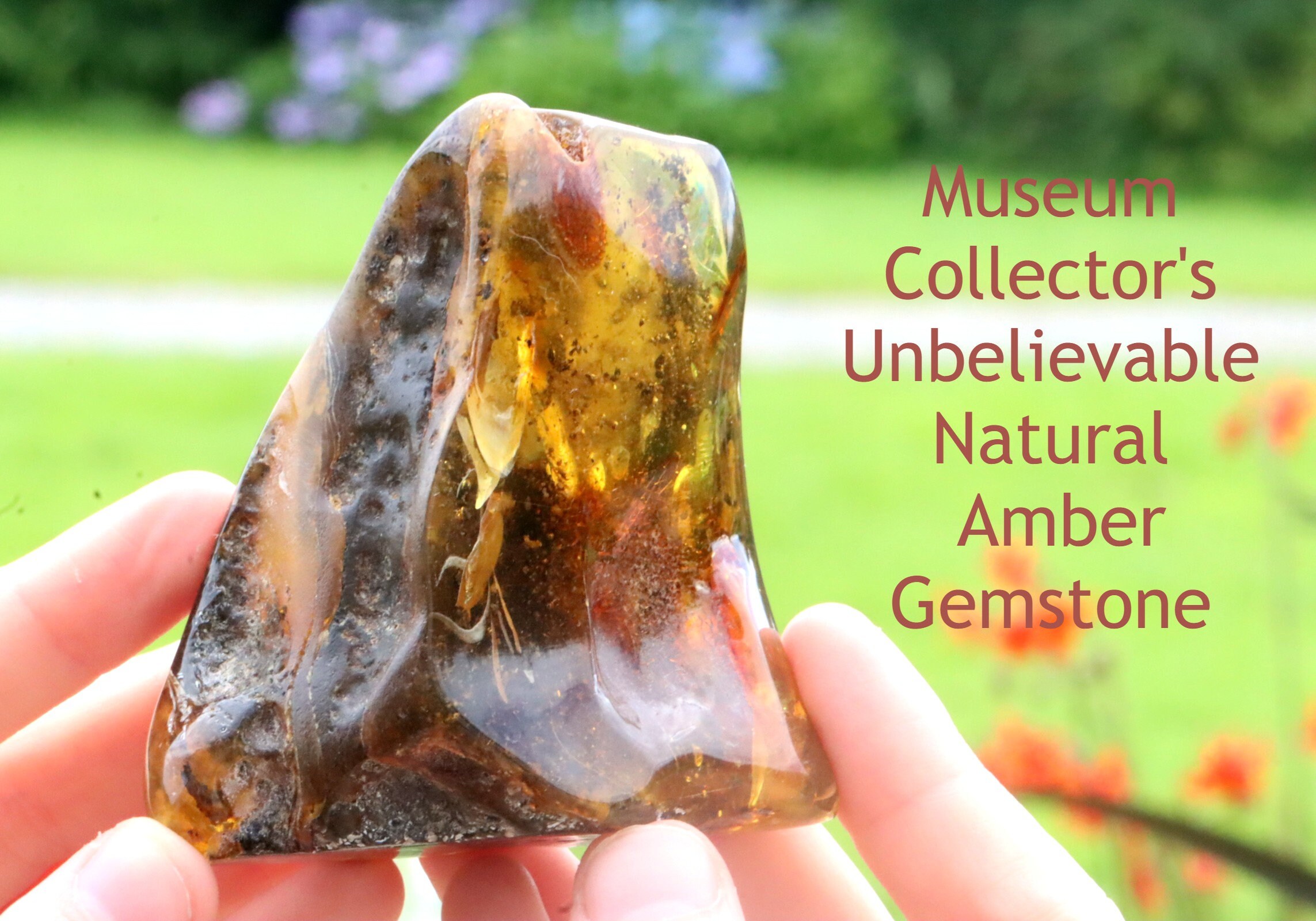 Unbelievable Natural Amber Gemstone 80g Museum Collector s Gem