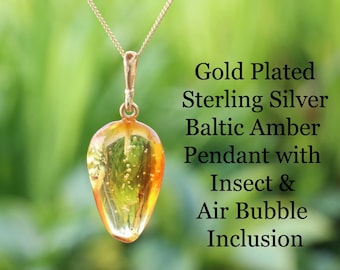 Ciondolo in argento sterling placcato oro con ambra baltica, insetto e bolla d'aria inclusi – Autentica gemma d'ambra a forma di goccia – Regalo unico nel suo genere