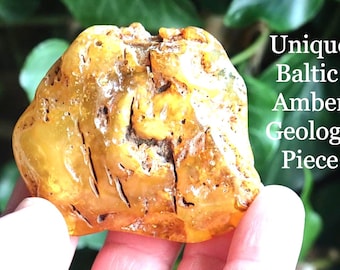 May include: A raw, golden-yellow Baltic amber specimen with a translucent, polished surface featuring natural dark fissures and inclusions. The text 'Unique Baltic Amber Geology Piece' is printed in white on the right side of the image.