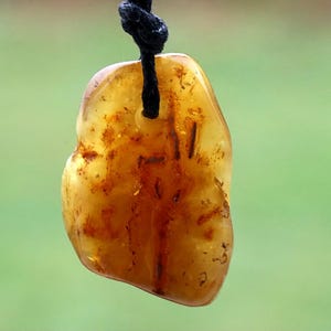 Natural Amber Amulet Pendant | Nordic Viking Gift | Untreated Baltic Gemstone | Adjustable Cotton Cord | Eco-Friendly Unisex Jewelry