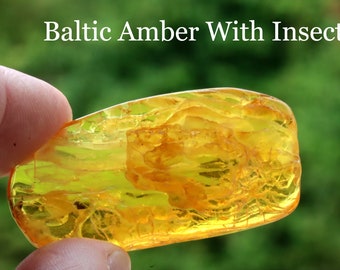 現在、この商品の在庫はありません - Etsy