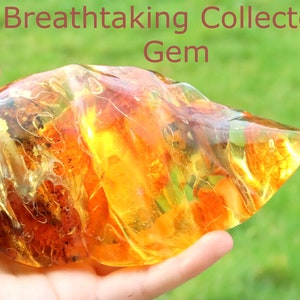 Breathtaking Collector's Gem With 2 X 40 Million Year Old Insects Inclusion and Air Bubbles / Baltic Amber Collectors Geology Gem gift image 6
