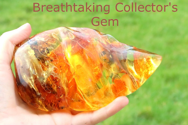 Breathtaking Collector's Gem With 2 X 40 Million Year Old Insects Inclusion and Air Bubbles / Baltic Amber Collectors Geology Gem gift image 6