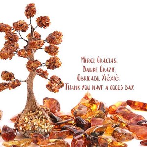 May include: A small amber tree with a base of amber stones. The tree is surrounded by amber stones of various shapes and sizes. The text "MERCI GRACIAS, DANKE, GRAZIE OBRIGADO, XI&Egrave;XIC. THANK YOU HAVE A GOOD DAY." is written in brown text on a white background.
