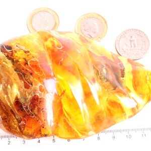 Breathtaking Collector's Gem With 2 X 40 Million Year Old Insects Inclusion and Air Bubbles / Baltic Amber Collectors Geology Gem gift image 9