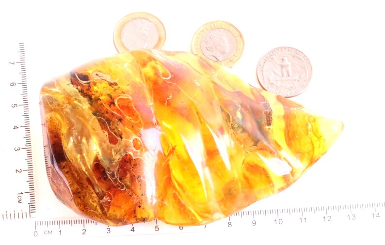 Breathtaking Collector's Gem With 2 X 40 Million Year Old Insects Inclusion and Air Bubbles / Baltic Amber Collectors Geology Gem gift image 9