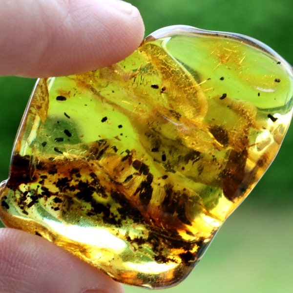 Smooth Baltic Amber Gemstone / 11.7g Calming Meditation Stone / Radiant Natural Gem / Gift for Stress and Anxiety Relief / Natural Eco Gift