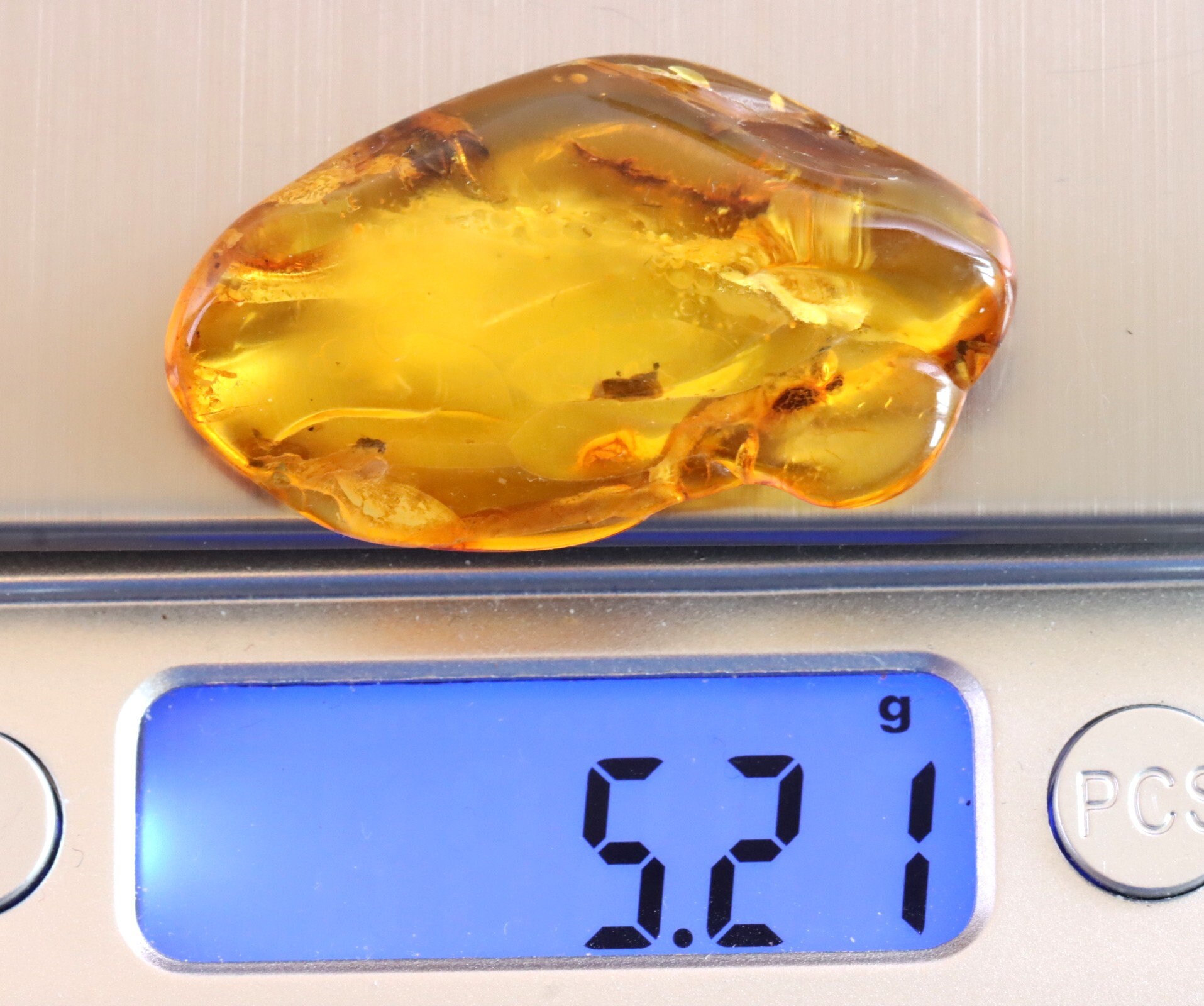 特別オファー – 琥珀の中の昆虫 | 4000万年前の化石入り | ジュラ紀
