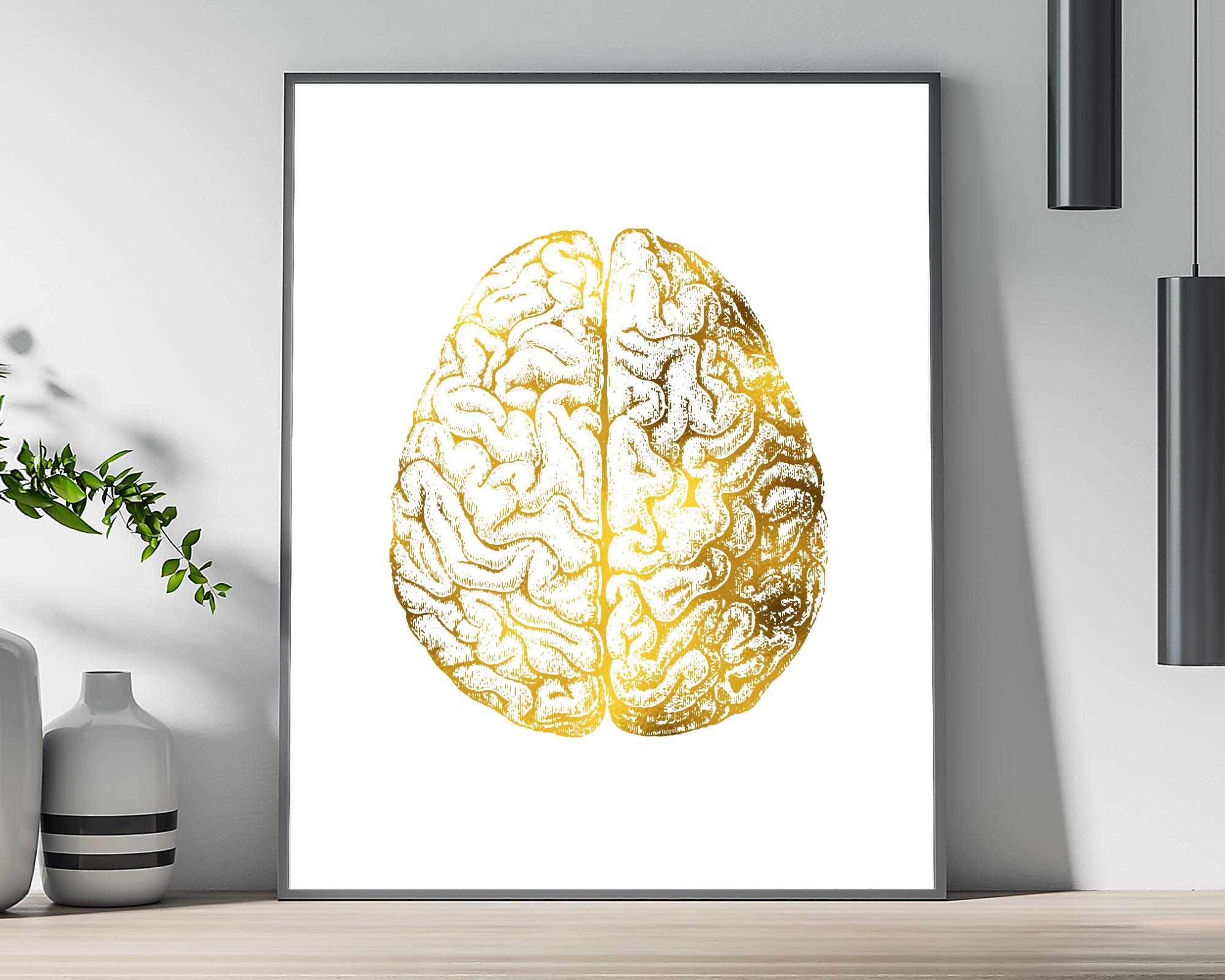 Human Brain Anatomical Real Gold Foil Art Print - Anatomy Wall Art ...