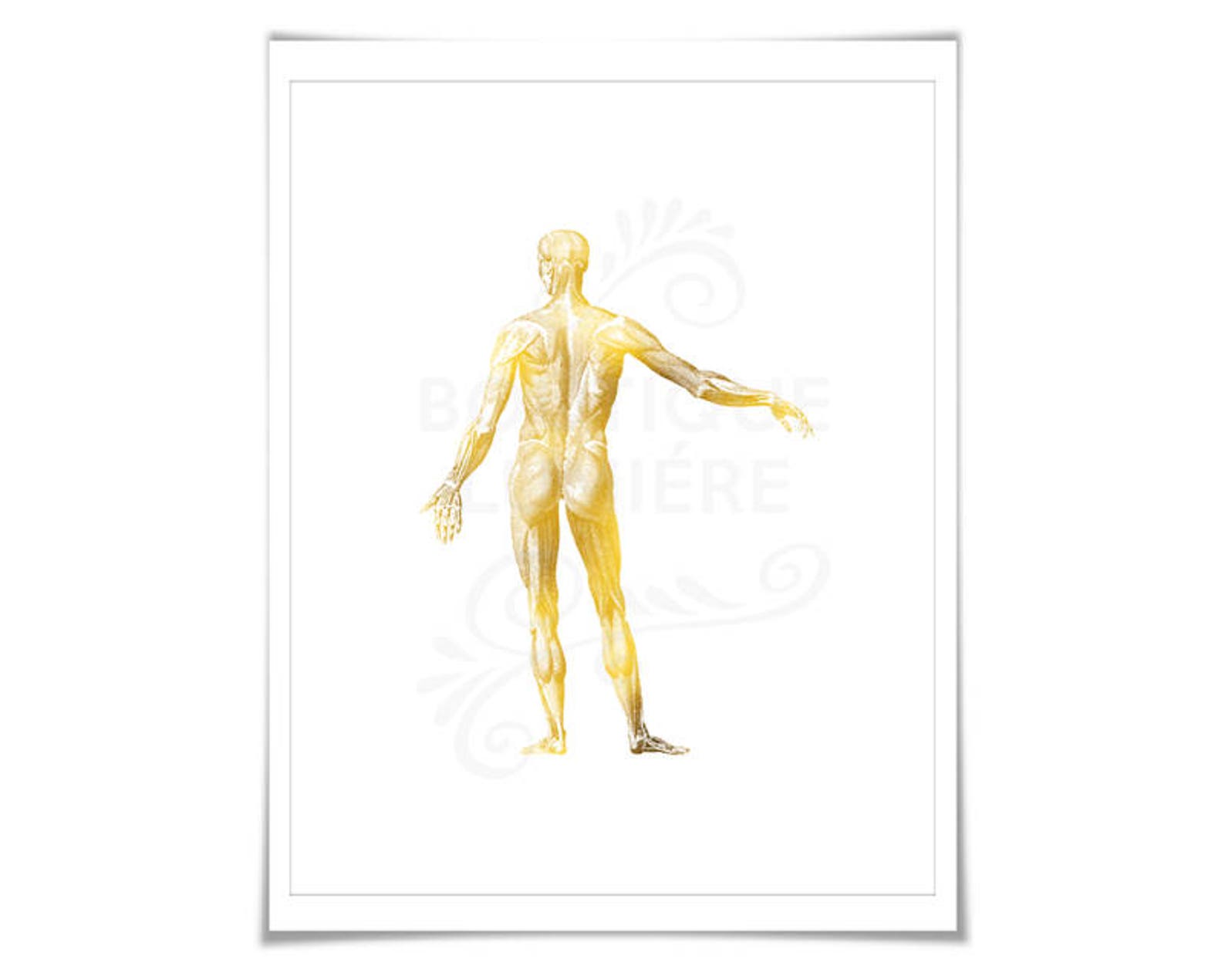 Human Body Anatomical Gold Foil Art Print - Anatomy Wall Art ...