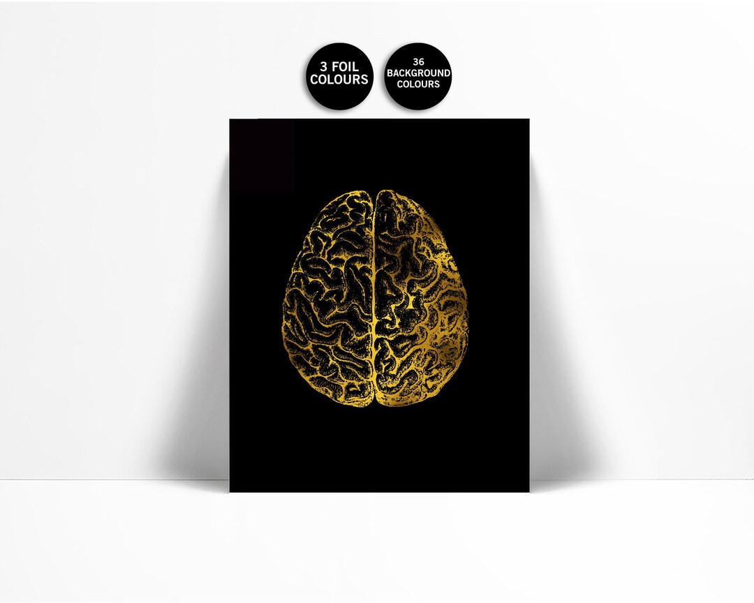 Human Brain Anatomical Real Gold Foil Art Print - Anatomy Wall Art ...