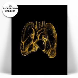 Human Lungs Anatomical Real Gold Foil Art Print - Anatomy Wall Art - Anatomical Poster - Medical Art - Lungs Art Print - Anatomy Poster