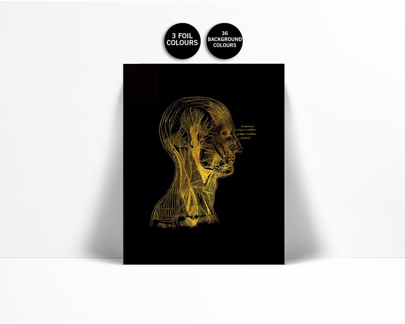 Human Head Anatomical Gold Foil Art Print - Anatomy Wall Art - Medical ...