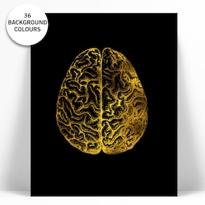 Human Brain Anatomical Real Gold Foil Art Print - Anatomy Wall Art - Anatomical Poster - Medical Art - Brain Art Print - Anatomy Poster