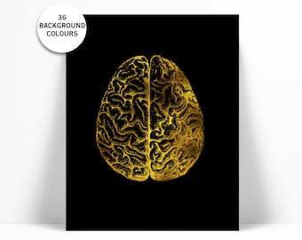 Human Brain Anatomical Real Gold Foil Art Print - Anatomy Wall Art - Anatomical Poster - Medical Art - Brain Art Print - Anatomy Poster