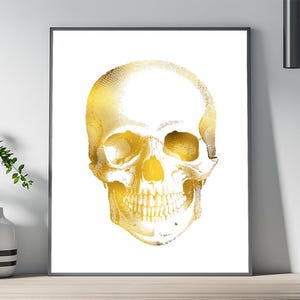Human Skull Anatomical Gold Foil Art Print Real Gold Foil Anatomy Wall