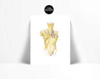 Human Body Anatomical Gold Foil Art Print - Anatomy Wall Art - Back Neck Muscles Drawing - Medical Scientific Poster - Doctor Gift Art Decor