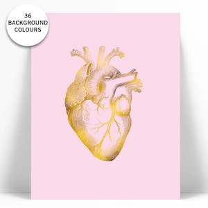 Human Heart Anatomical Gold Foil Art Print - Real Gold Foil - Anatomy Wall Art - Anatomical Wall Art - Valentine's Day - Medical Art