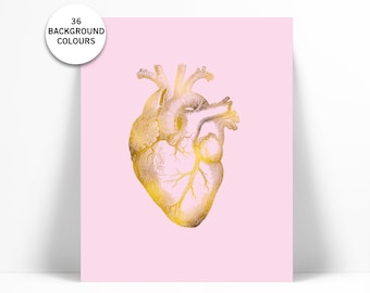 Human Heart Anatomical Gold Foil Art Print - Real Gold Foil - Anatomy Wall Art - Anatomical Wall Art - Valentine's Day - Medical Art