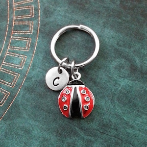 Ladybug Keychain, SMALL Red Lady Bug Keyring, Personalized Keychain, Insect Keychain, Bug Keychain, Bridesmaid Keychain, Ladybird Keychain