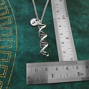 Dna Keychain SMALL Dna Molecule Keychain Biologist Keychain Molecular ...