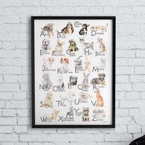 ABC Dog Breeds Alphabet Poster - Original Watercolors