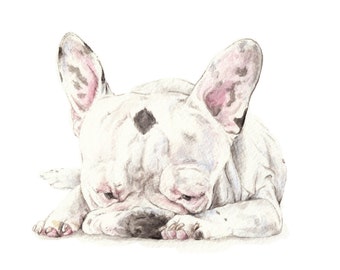 French Bulldog Black and White Limited Edition Print 8.5x11 Watercolor Frenchie Sleepy Puppy - choose from 3!