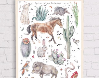Species of the Southwest Flora and Fauna Poster You Choose Species of the Southwest Flora and Fauna Poster You Choose