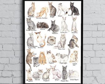 ABC Cats Alphabet Poster - Original Watercolors