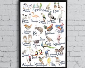 Birds ABC Alphabet Poster - Original Watercolor Paintings