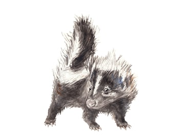 Baby Skunk Limited Edition Print 8.5x11 Watercolor Cute Baby Animal Painting