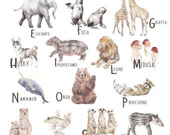 Italian Language ABC Animal Alphabet - Etsy Hong Kong Italian Language ABC Animal Alphabet - Etsy Hong Kong