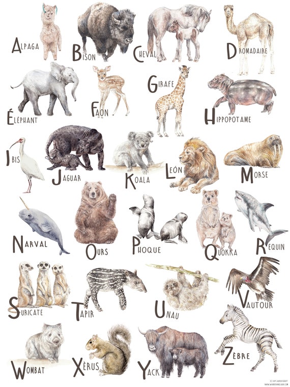 French Language ABC Animal Alphabet Poster - Etsy Denmark French Language ABC Animal Alphabet Poster - Etsy Denmark