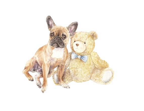frenchie teddy