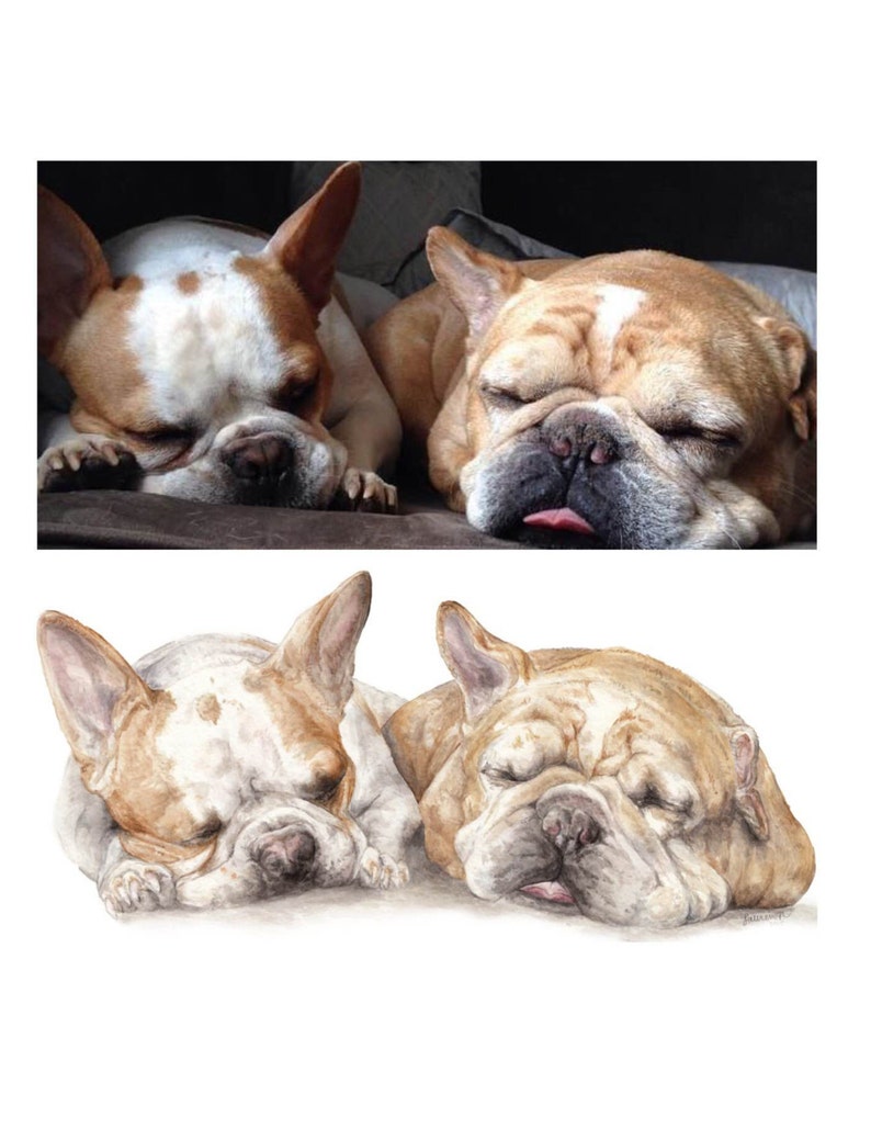 Smaller size 6 x 9 or 7 x 10 CUSTOM Watercolor Pet Portrait Original Painting Dog Cat or Animal