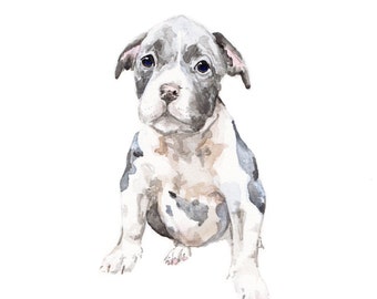 Pitbull Puppy Limited Edition Print 8.5x11 Watercolor - 2 options, you choose the coloring!