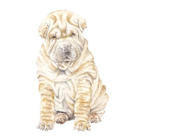 Sharpei Puppy Limited Edition Print 8.5x11 Watercolor Dog Pet Portrait