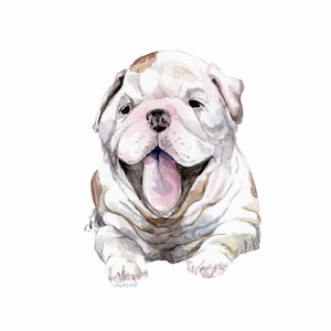 Bulldog Puppy Limited Edition Print 8.5x11 Watercolor Pet Painting - Choose from 2!