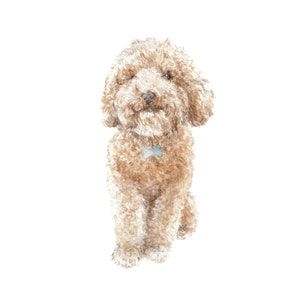 Adorable Poodle Puppy Watercolor Limited Edition Print 8.5x11 apricot pet portrait painting